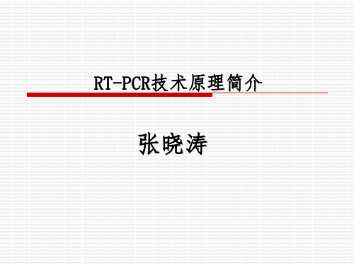 RT-PCR技术原理