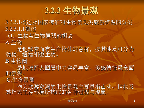 地理环境与自然旅游资源
