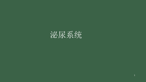 泌尿系统-内科部分ppt课件