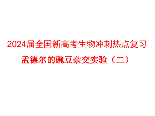 2024届全国新高考生物冲刺热点复习 孟德尔的豌豆杂交实验(二)