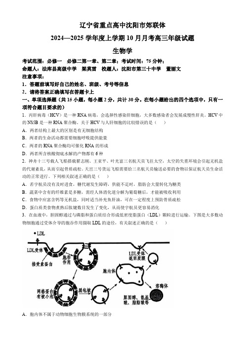 辽宁省重点高中沈阳市郊联体2024-2025学年高三上学期10月月考试题 生物 含答案