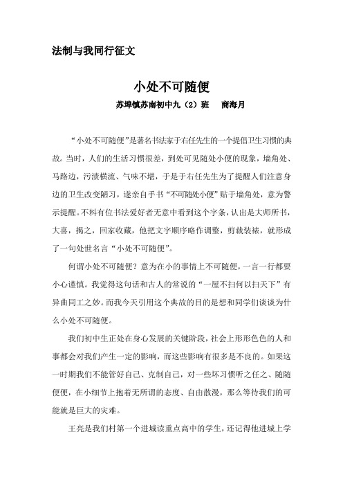 小处不可随便