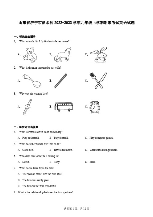 山东省济宁市泗水县2022-2023学年九年级上学期期末考试英语试题
