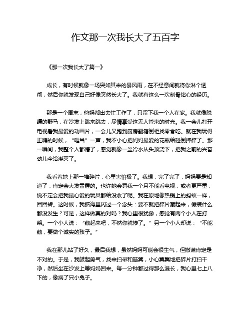 作文那一次我长大了五百字