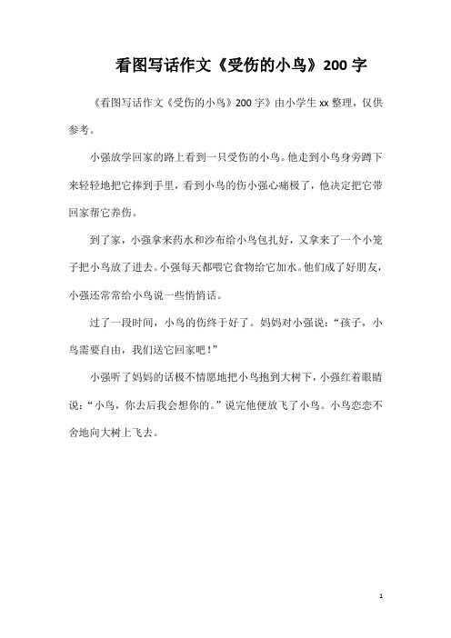 看图写话作文《受伤的小鸟》200字