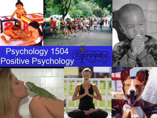 哈佛大学课程Positive-Psychology-ppt