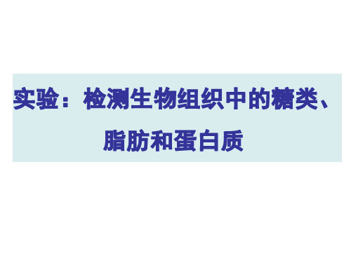 检测生物组织中的糖类、脂肪和蛋白质(14张PPT)