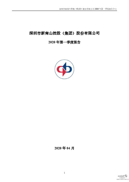 南山控股：2020年第一季度报告全文