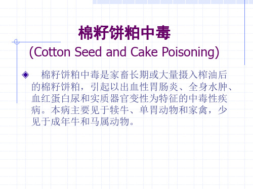 (棉籽饼粕中毒