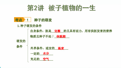 中考会考生物被子植物的一生知识点练习题课件