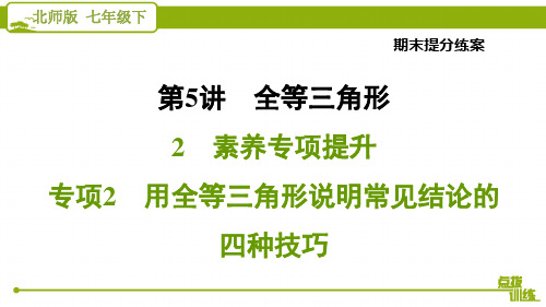 最新北师大版七年级下册数学期末复习第5讲全等三角形  用全等三角形说明常见结论的四种技巧