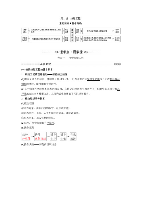 新高考 一轮复习 人教版 细胞工程 教案