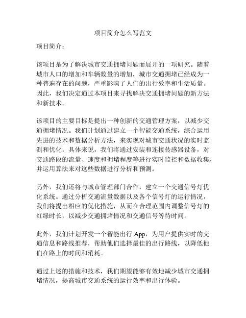 项目简介怎么写范文