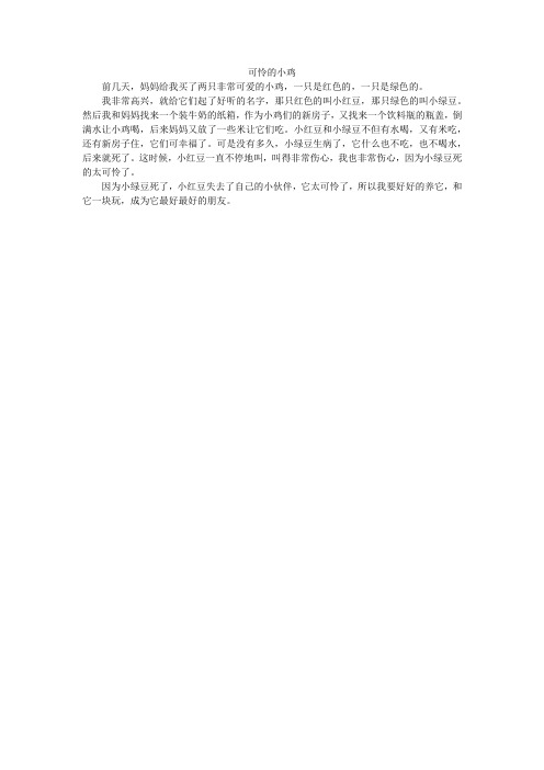 可怜的小鸡_小学作文_1