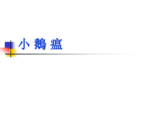 兽医课件-小鹅瘟