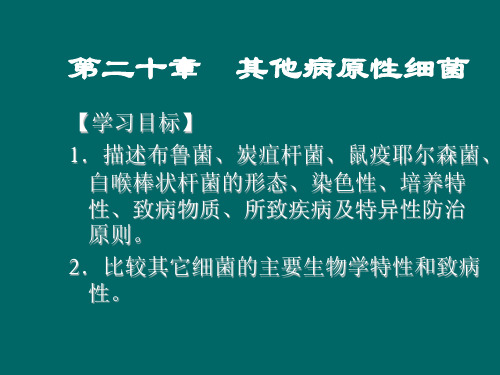 布鲁菌、炭疽杆菌、鼠疫耶尔森菌、白喉棒状杆菌