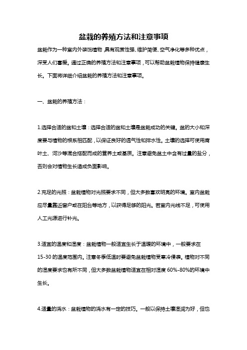 盆栽的养殖方法和注意事项