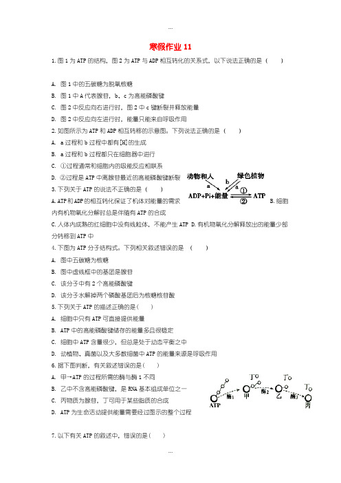 2020届高一生物寒假作业11实验班含答案