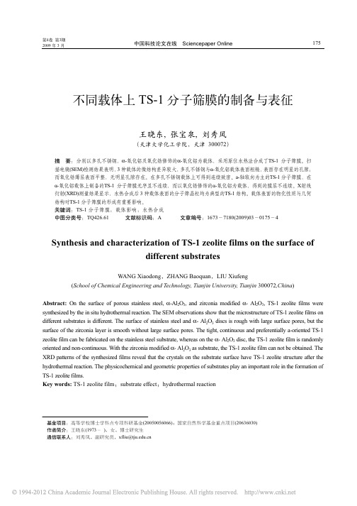 不同载体上TS_1分子筛膜的制备与表征