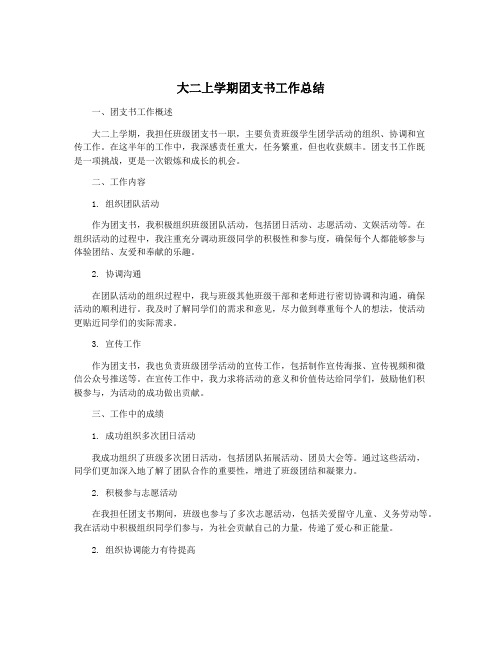 大二上学期团支书工作总结