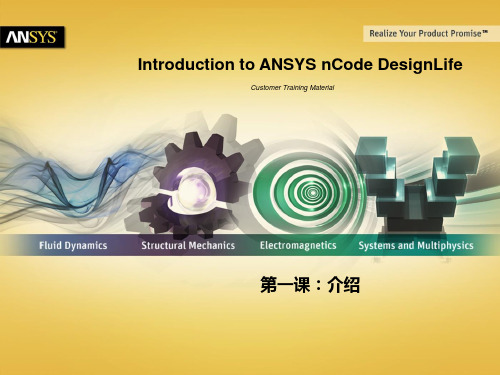 ANSYS nCode DesignLife 介绍