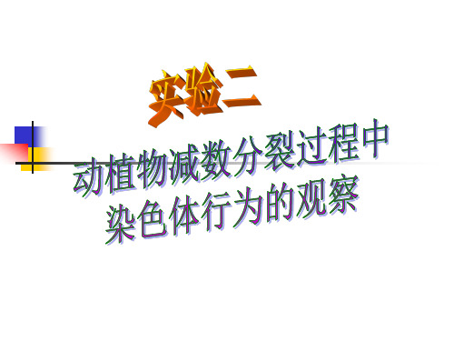 实验二 动植物减数分裂过程中染色体行为的观察