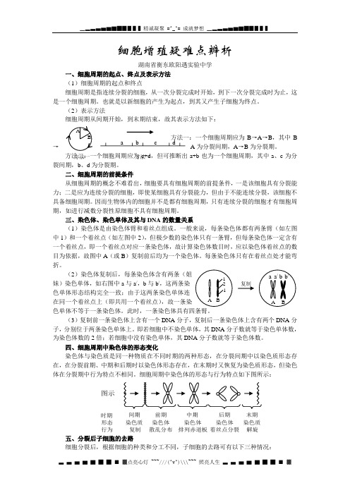 高三生物《细胞增殖》疑难点辨析