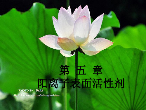 阳离子表面活性剂