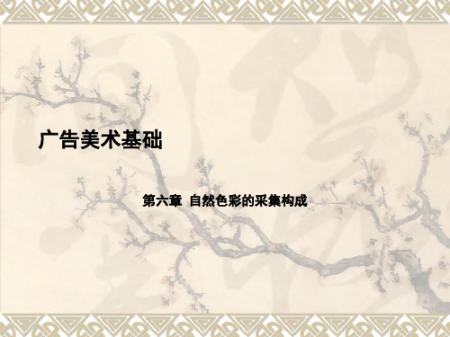 色彩构成-第六章 自然色彩的采集构成——【广告学 美术基础】