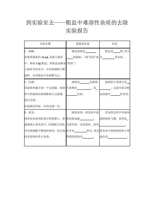 《到实验室去：精盐中难溶性杂质的去除》实验报告-九年级下册化学鲁教版