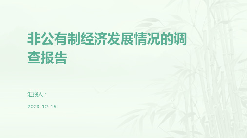 非公有制经济发展情况的调查报告