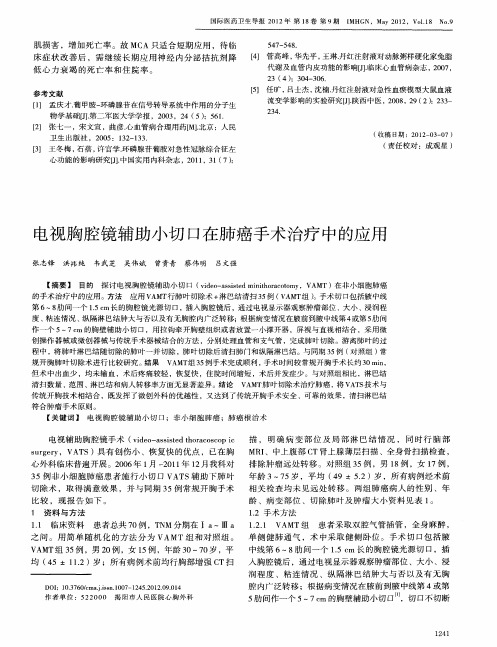 电视胸腔镜辅助小切口在肺癌手术治疗中的应用