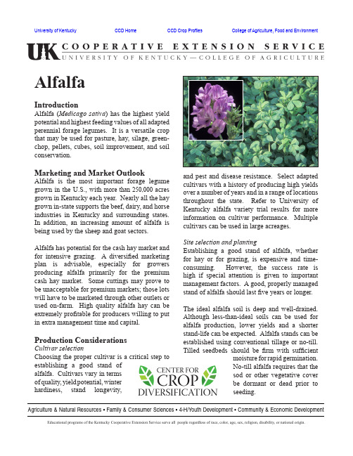 英文资料 植物学科alfalfa