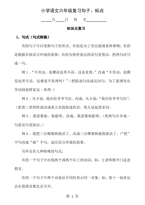 六年级总复习-句子23页word文档