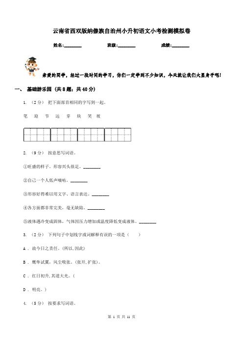 云南省西双版纳傣族自治州小升初语文小考检测模拟卷