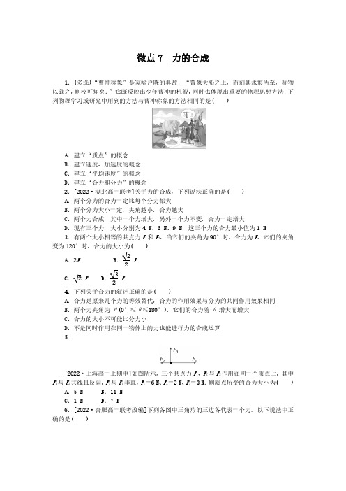 2024-2025年教科版物理必修第一册微点7力的合成(带答案)