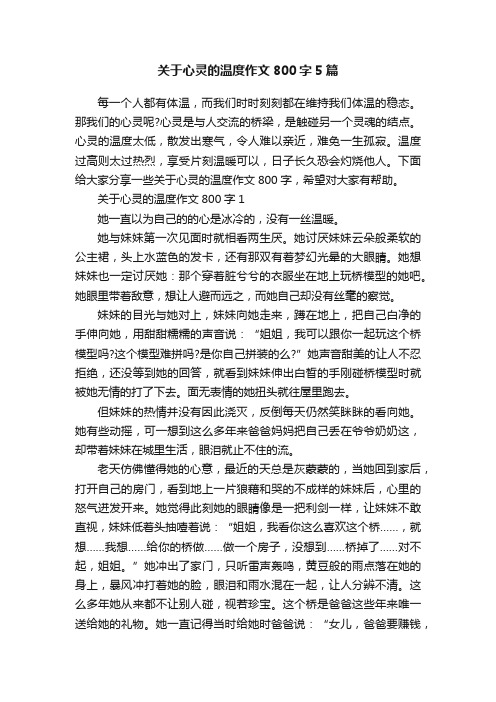 关于心灵的温度作文800字5篇