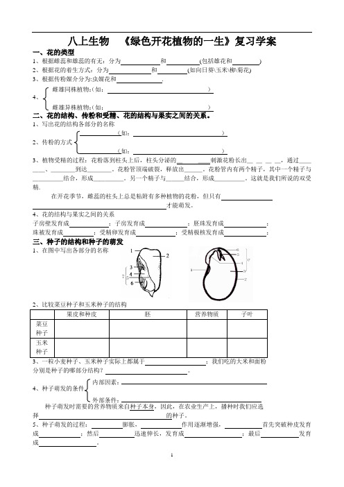 绿色开花植物的一生复习(高密)