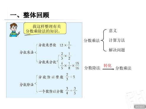 青岛版六年级数学上册分数乘除法回顾整理