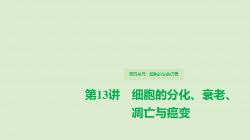 人教通用2020版高考生物大一轮复习第四单元细胞的生命历程第13讲细胞的分化衰老凋亡与癌变课件