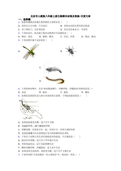 北京市人教版八年级上册生物期末试卷及答案-百度文库