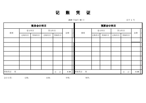 2019政府会计支付财务会计预算会计记账凭证