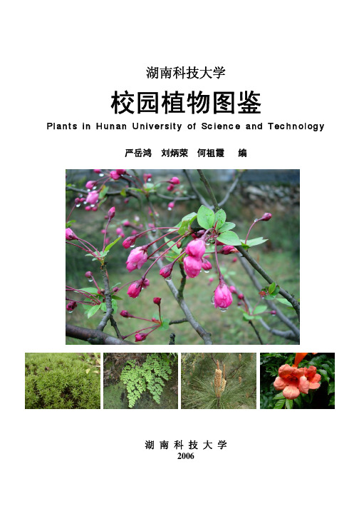 1湖南科技大学校园植物-封面-前言-目录-参考文献