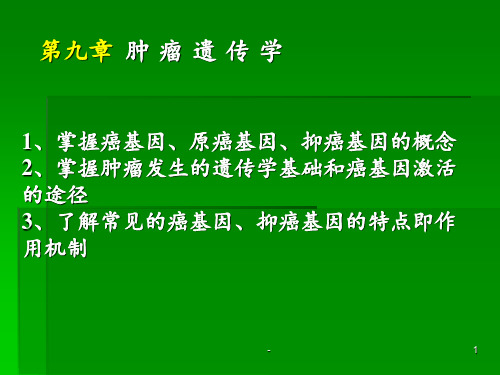 肿瘤遗传学课件ppt课件