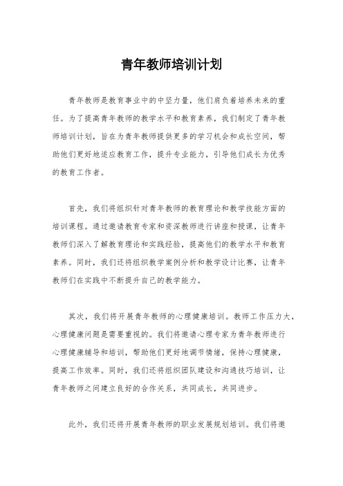 青年教师培训计划