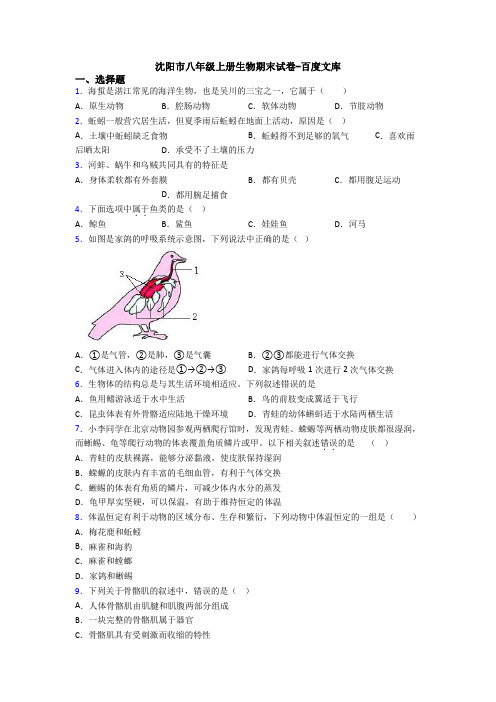 沈阳市八年级上册生物期末试卷-百度文库