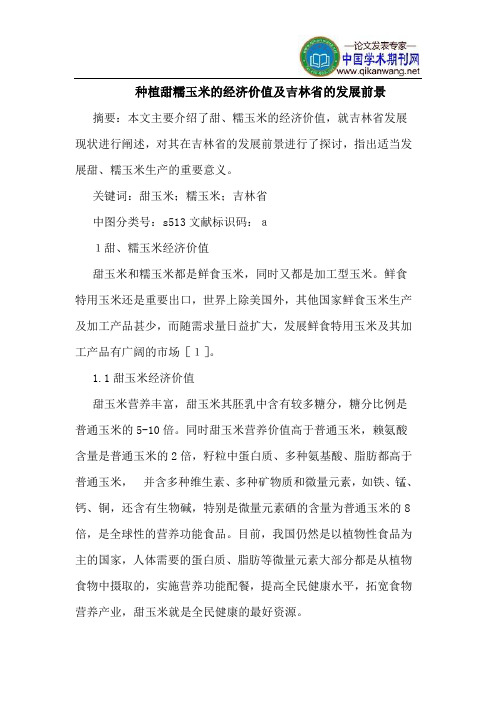 种植甜糯玉米的经济价值及吉林省的发展前景