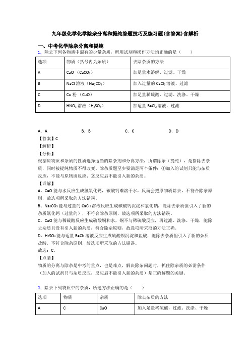 九年级化学化学除杂分离和提纯答题技巧及练习题(含答案)含解析