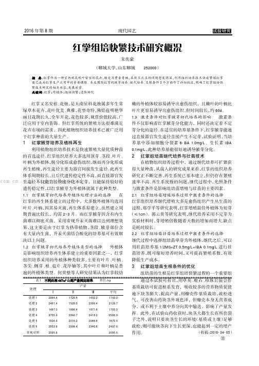 红掌组培快繁技术研究概况