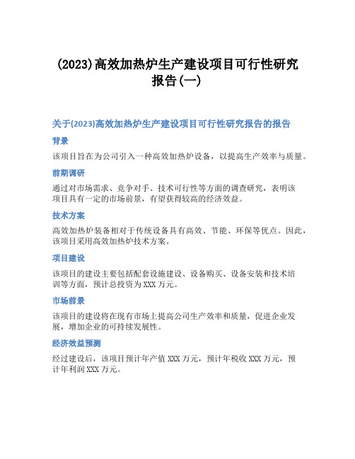 (2023)高效加热炉生产建设项目可行性研究报告(一)